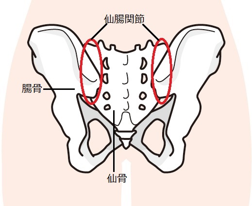 臀部痛の原因 症状 治療法を医師が解説 東京駅の整形外科 竹谷内医院 日本橋駅2分